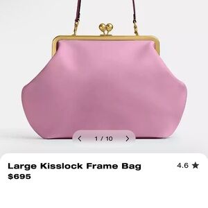 Kisslock Frame Bag in Pink